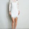 Elie Tahari Scallop Lace Dress Dress Musings 1 Elie Tahari Scallop Lace Dress Dress Musings